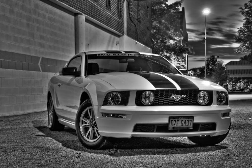 IMAGE: http://i38.photobucket.com/albums/e101/tedbalog/IMG_0825_6_4.jpg