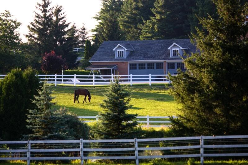 IMAGE: http://i38.photobucket.com/albums/e102/Parmcat/IMG_5363.jpg