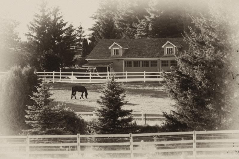 IMAGE: http://i38.photobucket.com/albums/e102/Parmcat/IMG_5363copy.jpg