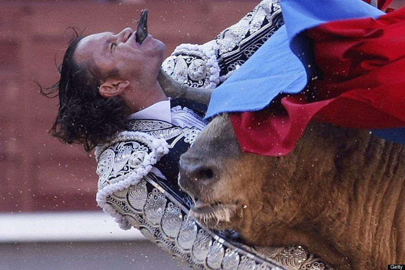 Bull Mounts A Female Dwarf Bullfighter Ar