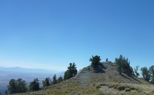 spruce mountain 10262 feet Pictures, Images and Photos