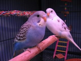 IMG_1434.jpg