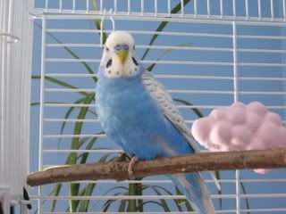 IMG_2342.jpg