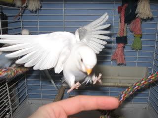 IMG_4169.jpg