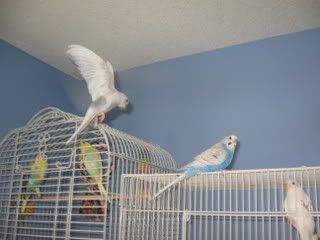 IMG_4183.jpg