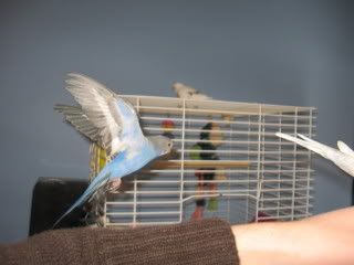 IMG_4191.jpg
