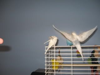 IMG_4192.jpg