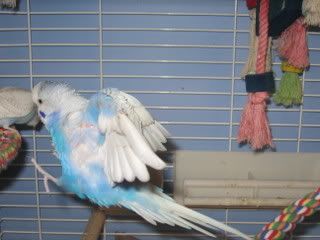 IMG_4223.jpg