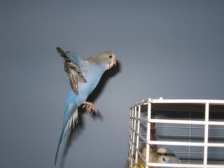 IMG_4236.jpg
