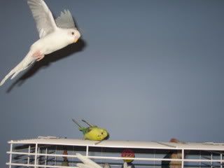 IMG_4239.jpg