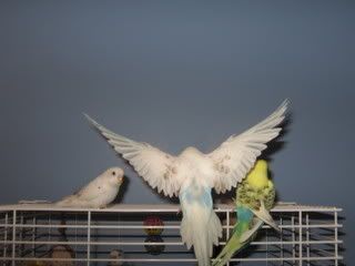 IMG_4250.jpg