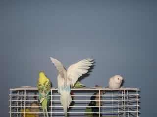 IMG_4268.jpg