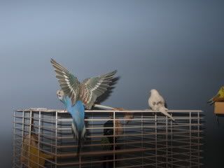 IMG_4271.jpg