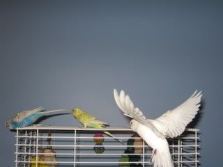 IMG_4276.jpg