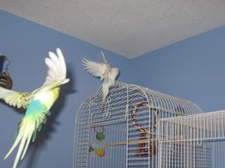 IMG_4283.jpg