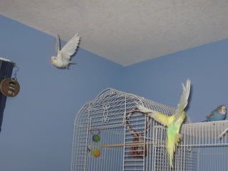 IMG_4285.jpg