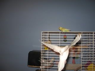 IMG_4288.jpg