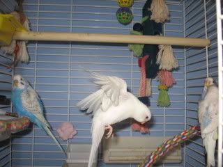 IMG_4316.jpg