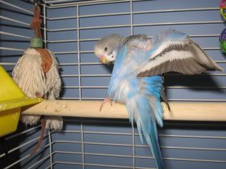 IMG_4326.jpg