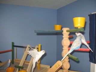 IMG_4377.jpg