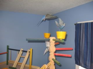IMG_4382.jpg