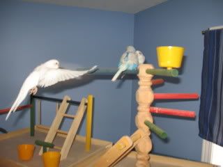 IMG_4383.jpg