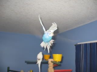 IMG_4384.jpg