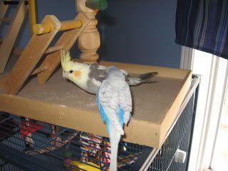 IMG_4394.jpg