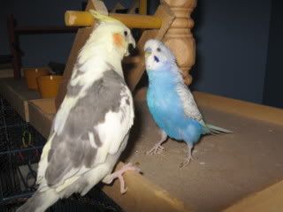 IMG_4395.jpg