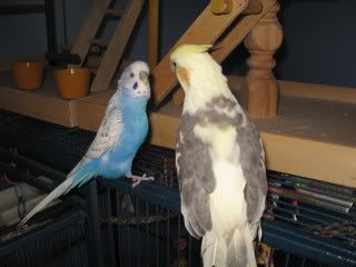 IMG_4397.jpg