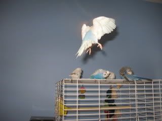 IMG_4401.jpg