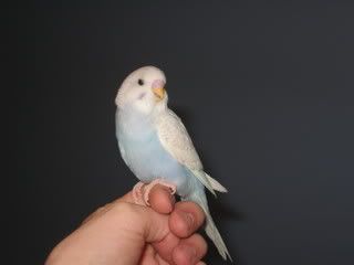 IMG_4405.jpg