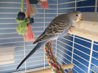 IMG_4491.jpg