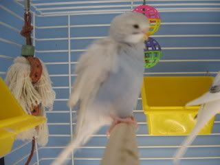 IMG_4495.jpg