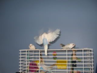 IMG_4515.jpg