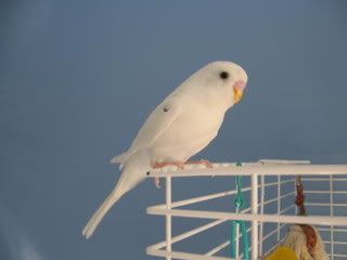 IMG_4517.jpg