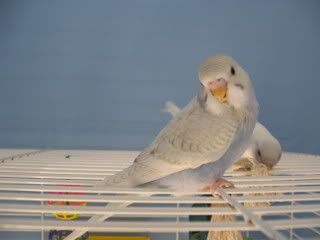 IMG_4521.jpg