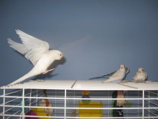 IMG_4524.jpg