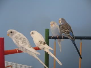 IMG_4538.jpg