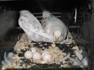 IMG_4758.jpg
