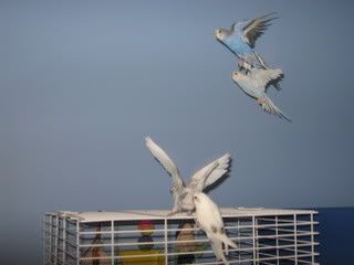 IMG_4814.jpg