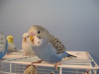 IMG_5106.jpg
