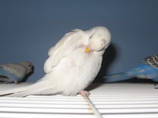 IMG_5129.jpg