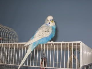 IMG_5138.jpg