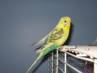 IMG_5143.jpg