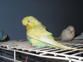 IMG_5147.jpg