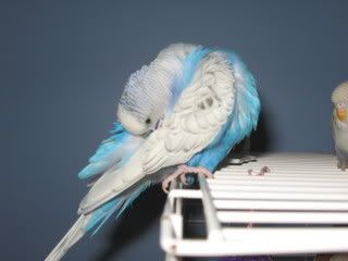 IMG_5151.jpg