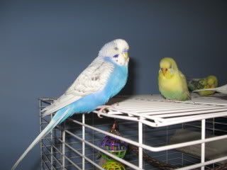 IMG_5164.jpg