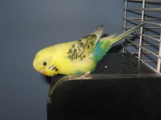 IMG_5171.jpg