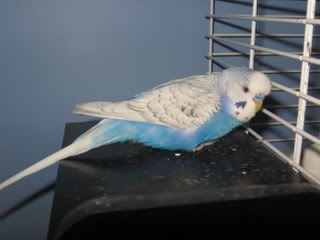 IMG_5185.jpg